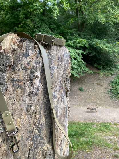 Dual Tone Dog Lead