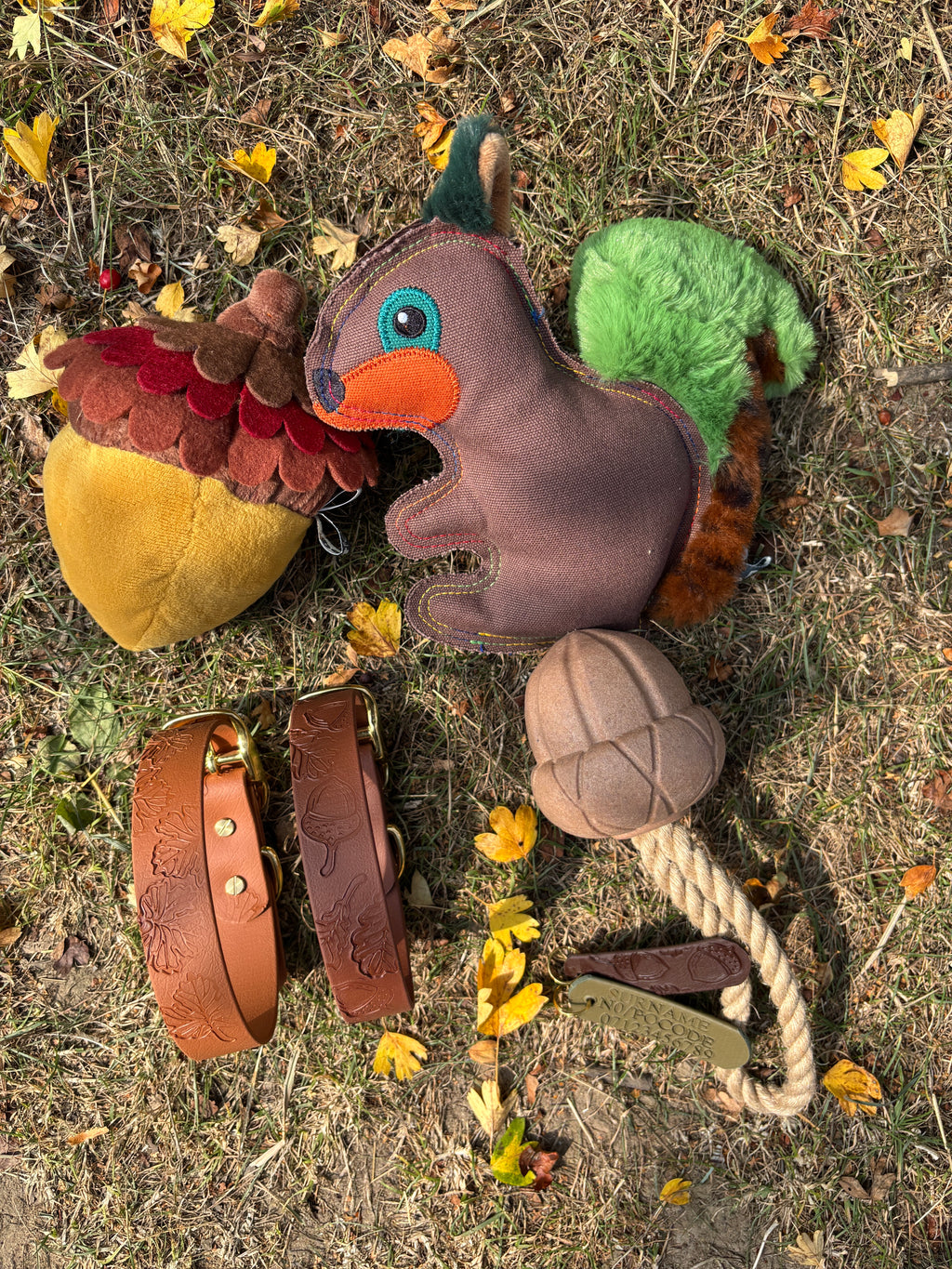 Autumn Dog Toys