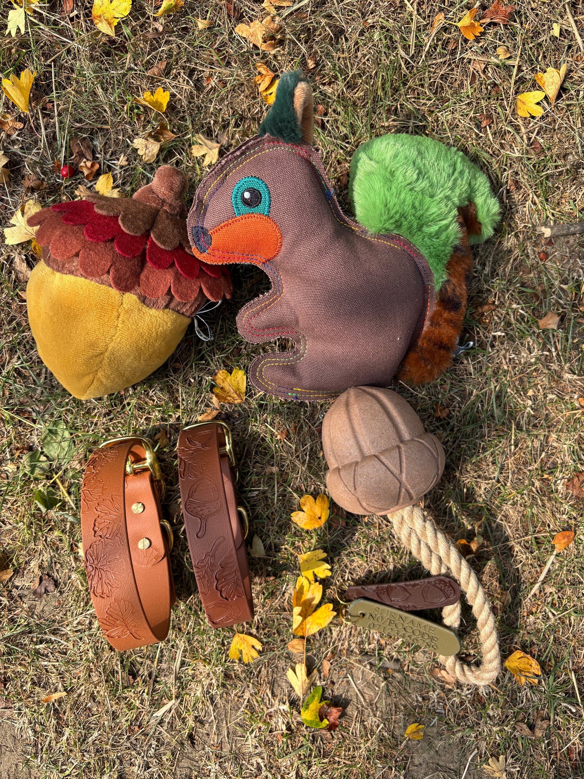 Autumn Dog Toys