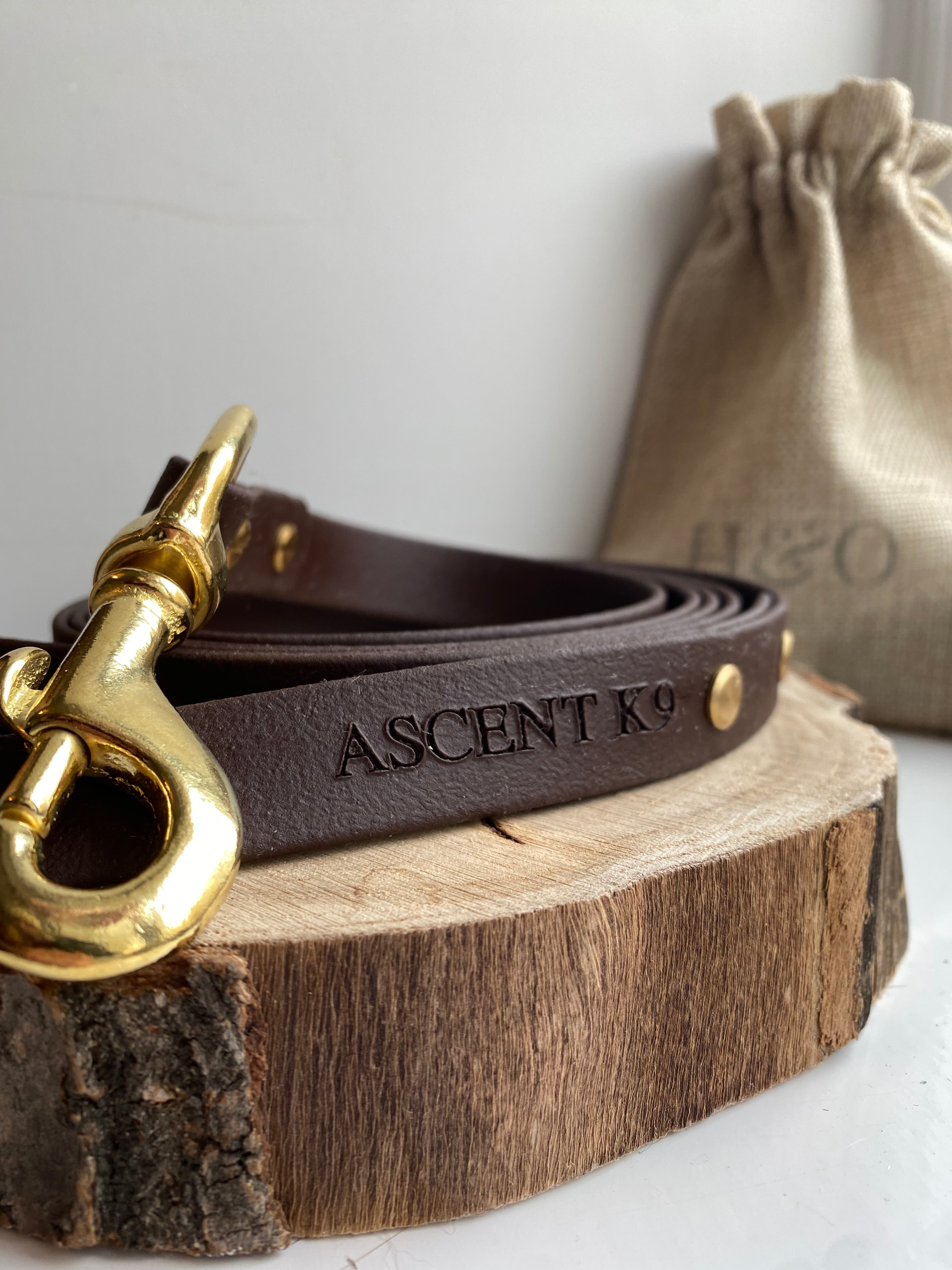 Firm Grip Waterproof Dog Training Lead