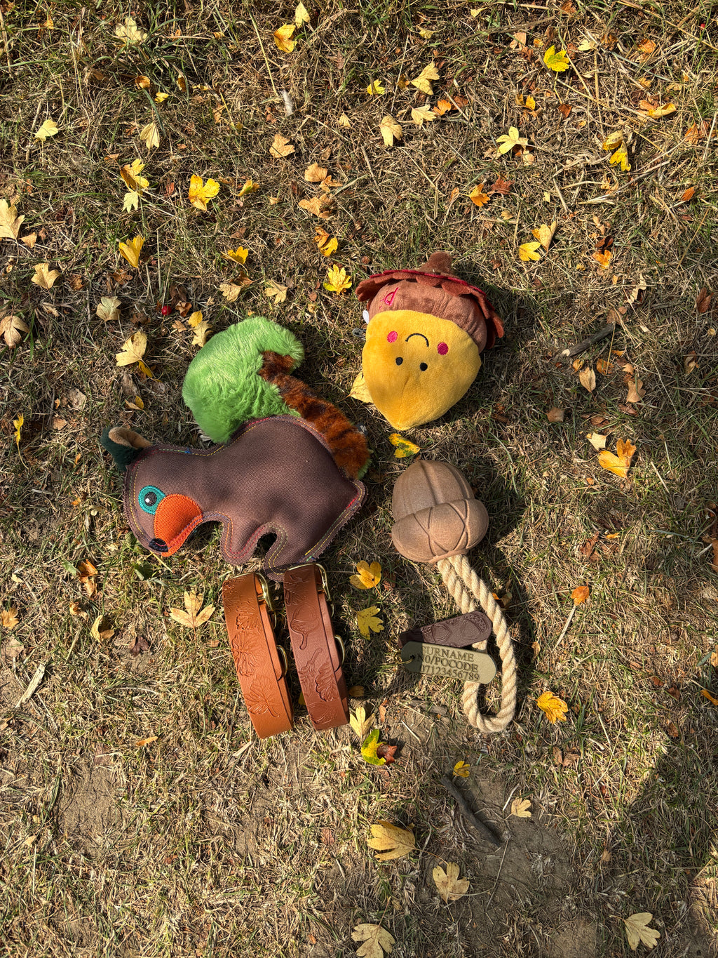 Autumn Dog Toys