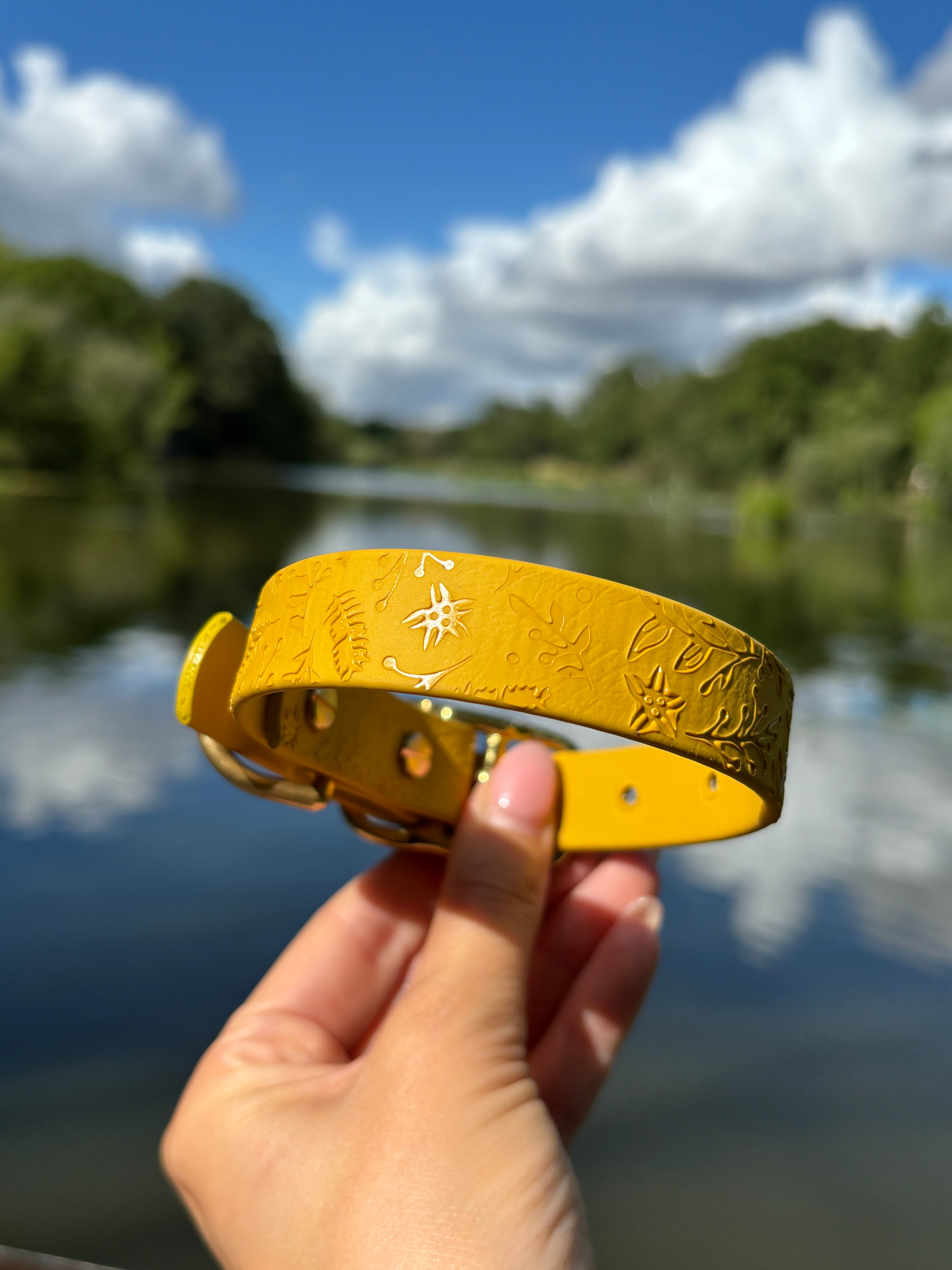 Embossed Waterproof Dog Collar
