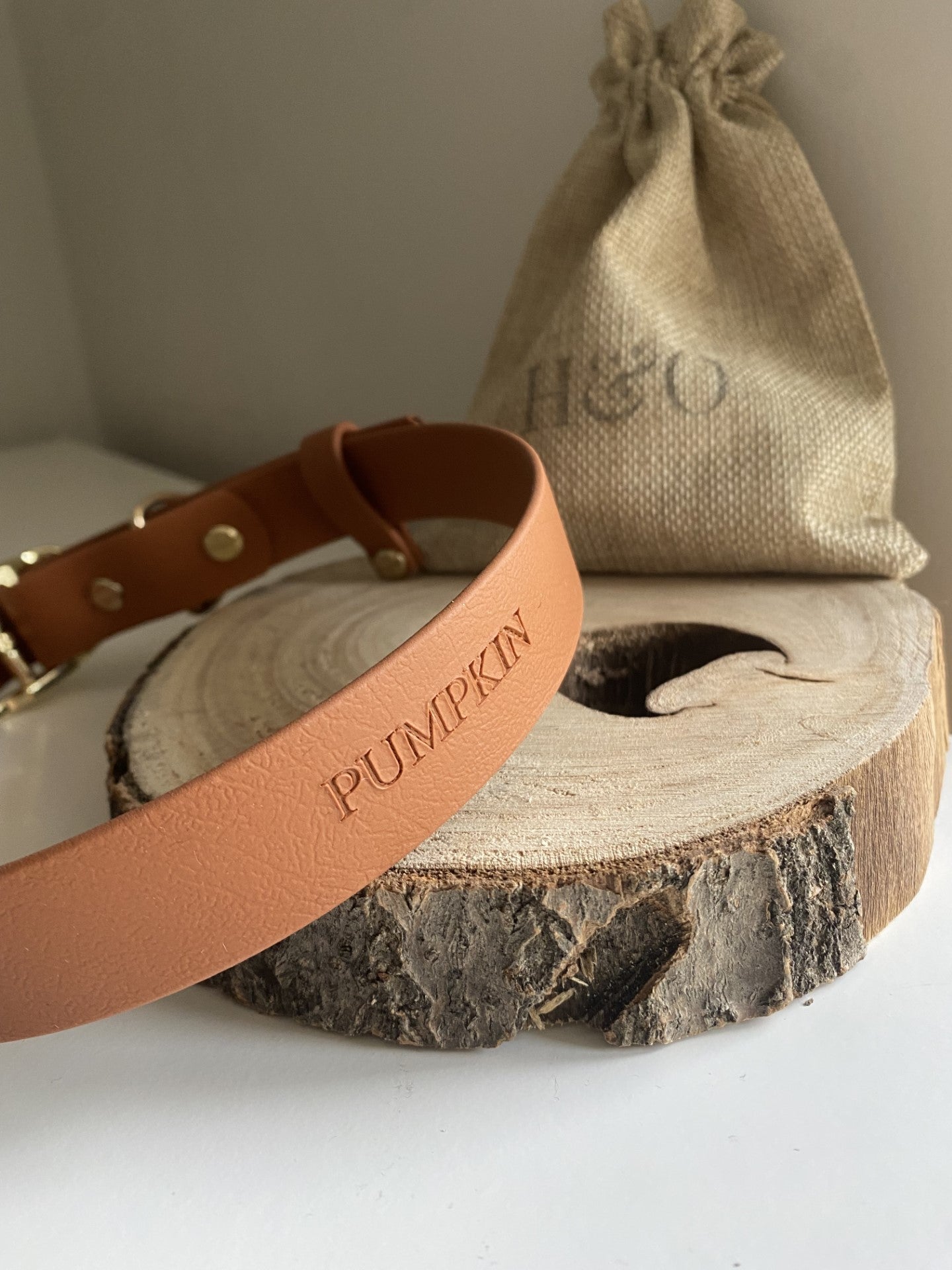 Classic Waterproof Dog Collar | Personalised Dog Name